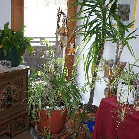 Studio Christina Im Landhaus Christina アパート アルプバッハ